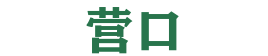 营口网站开发