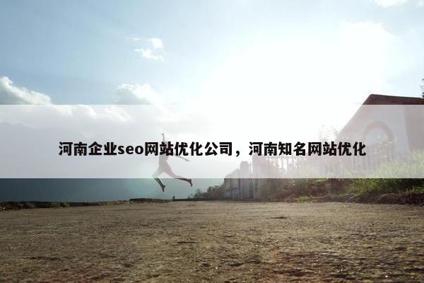 河南企业seo网站优化公司，河南知名网站优化
