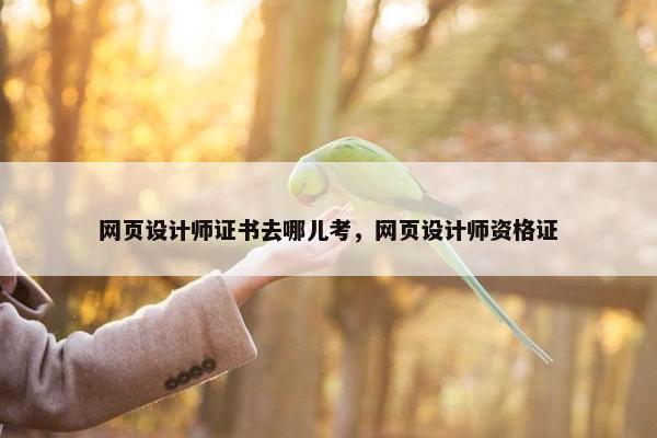 网页设计师证书去哪儿考，网页设计师资格证