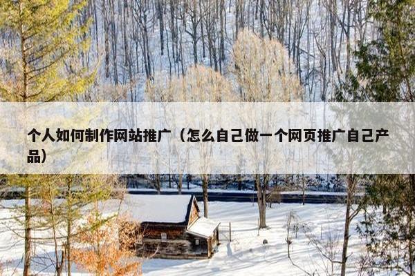 个人如何制作网站推广（怎么自己做一个网页推广自己产品）