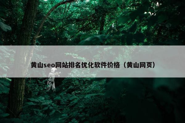 黄山seo网站排名优化软件价格（黄山网页）