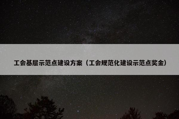 工会基层示范点建设方案（工会规范化建设示范点奖金）