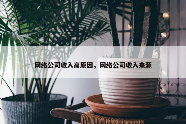 网络公司收入高原因，网络公司收入来源