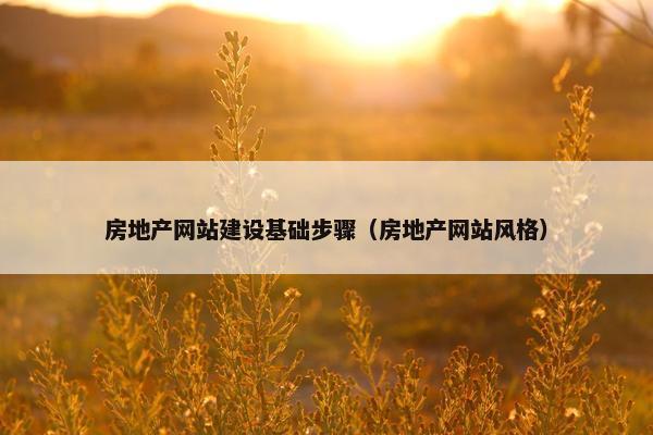 房地产网站建设基础步骤（房地产网站风格）