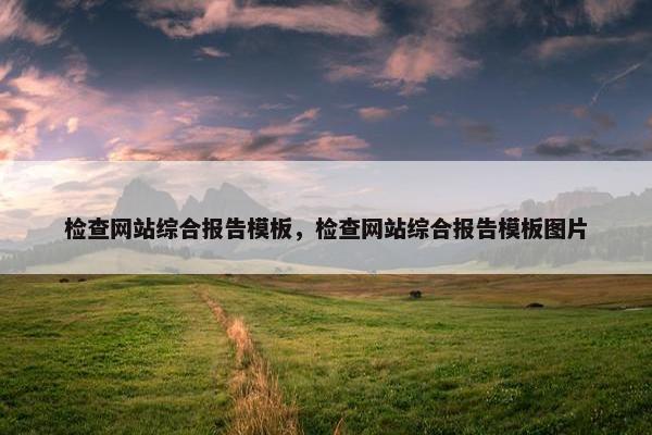 检查网站综合报告模板，检查网站综合报告模板图片
