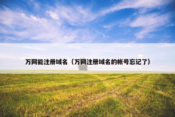 万网能注册域名（万网注册域名的帐号忘记了）