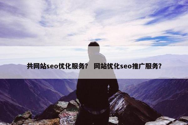 共网站seo优化服务？ 网站优化seo推广服务？