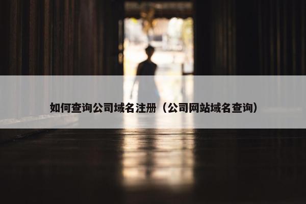 如何查询公司域名注册（公司网站域名查询）