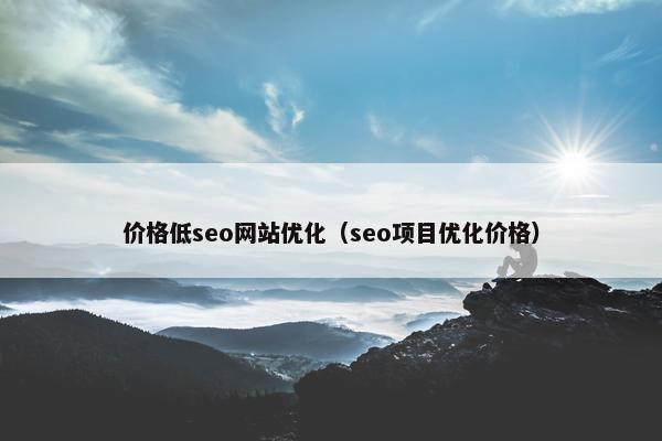 价格低seo网站优化（seo项目优化价格）