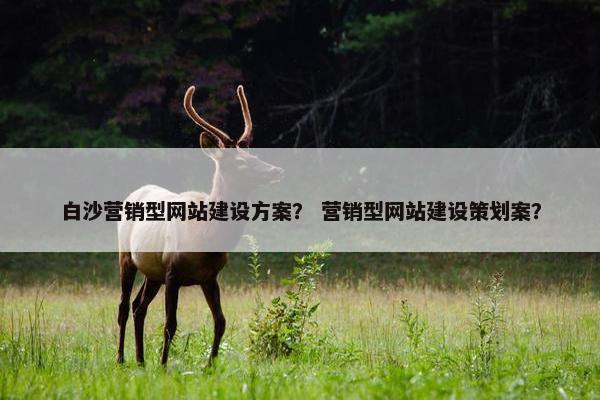 白沙营销型网站建设方案？ 营销型网站建设策划案？