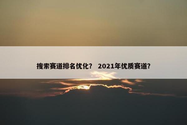 搜索赛道排名优化？ 2021年优质赛道？