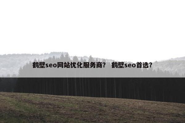 鹤壁seo网站优化服务商？ 鹤壁seo首选？