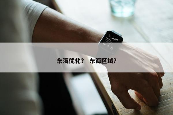 东海优化？ 东海区域？