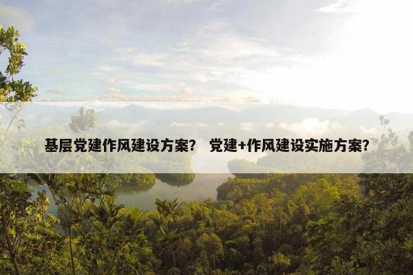 基层党建作风建设方案？ 党建+作风建设实施方案？