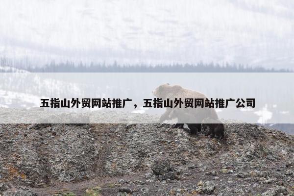 五指山外贸网站推广，五指山外贸网站推广公司