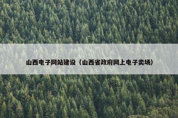 山西电子网站建设（山西省政府网上电子卖场）
