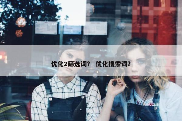 优化2筛选词？ 优化搜索词？