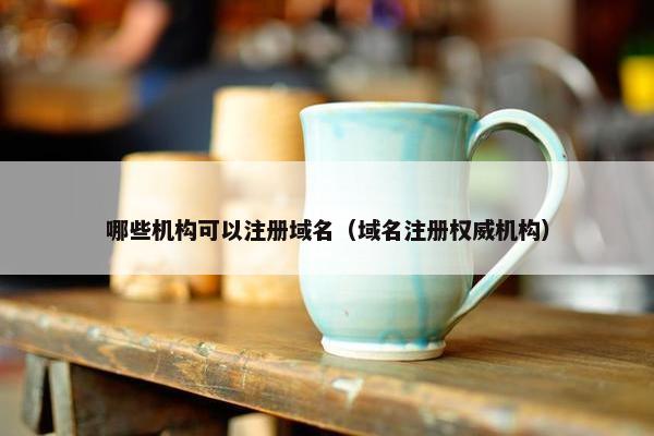 哪些机构可以注册域名（域名注册权威机构）