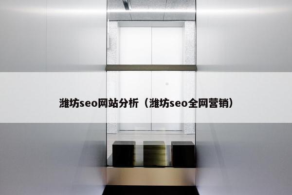 潍坊seo网站分析（潍坊seo全网营销）