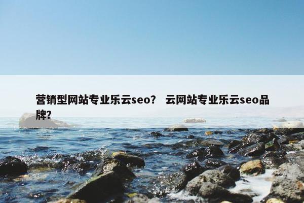 营销型网站专业乐云seo？ 云网站专业乐云seo品牌？