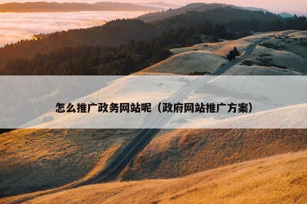 怎么推广政务网站呢（政府网站推广方案）