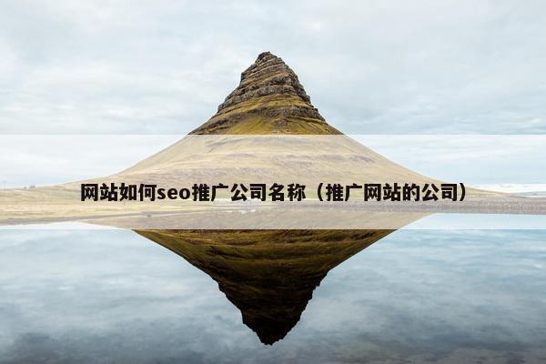 网站如何seo推广公司名称（推广网站的公司）