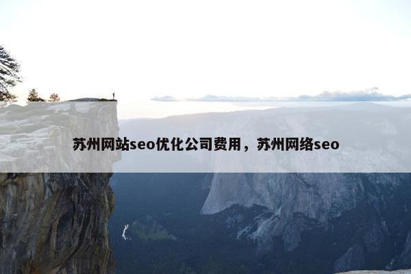 苏州网站seo优化公司费用，苏州网络seo