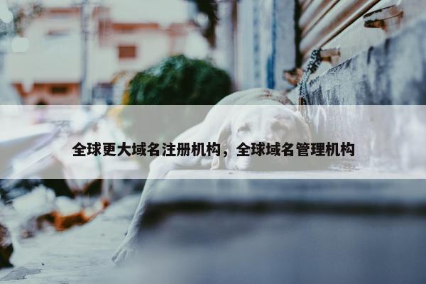 全球更大域名注册机构，全球域名管理机构