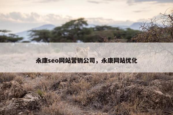 永康seo网站营销公司，永康网站优化