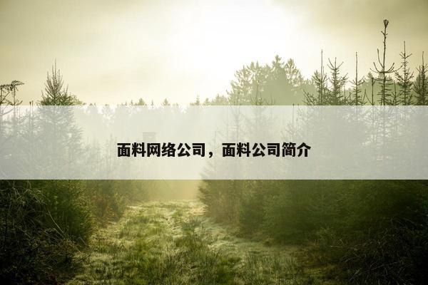 面料网络公司，面料公司简介