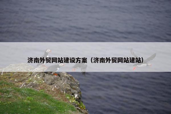 济南外贸网站建设方案（济南外贸网站建站）