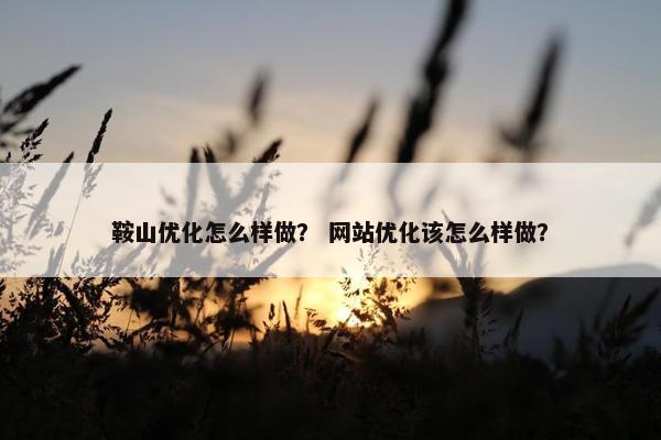 鞍山优化怎么样做？ 网站优化该怎么样做？