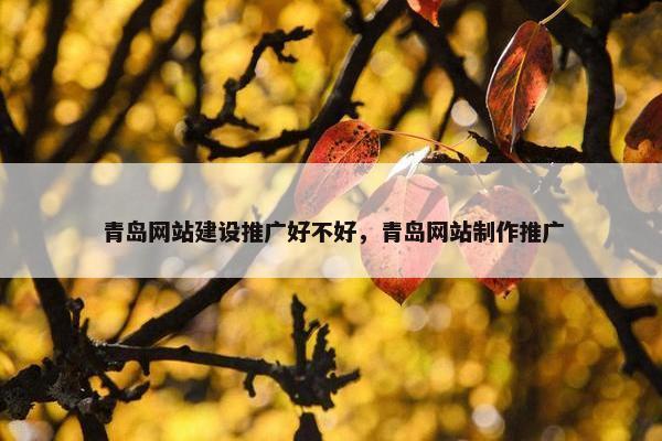 青岛网站建设推广好不好，青岛网站制作推广
