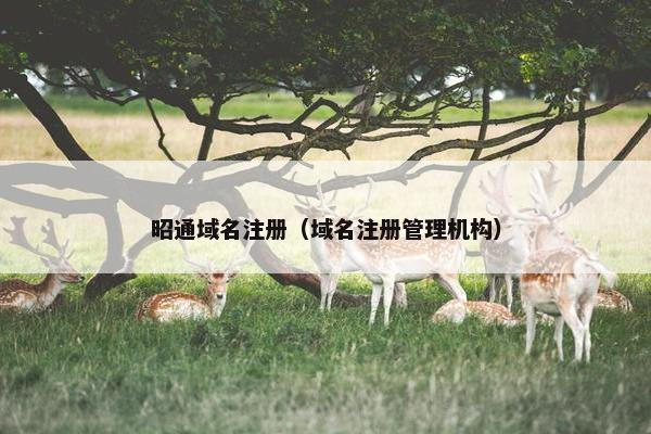 昭通域名注册（域名注册管理机构）