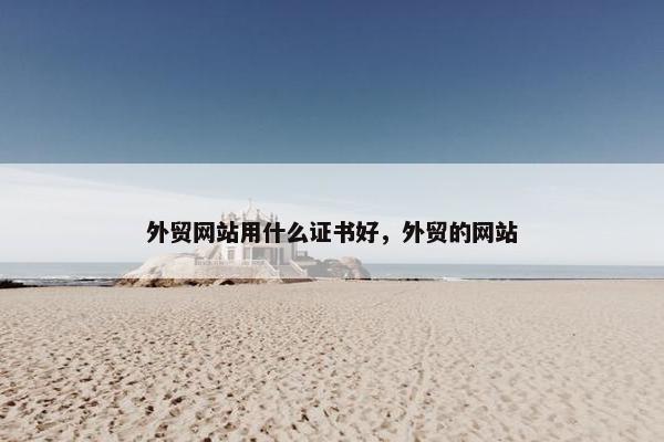 外贸网站用什么证书好，外贸的网站