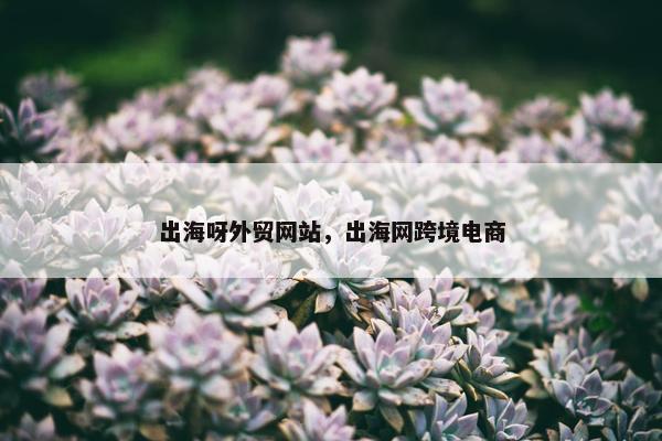 出海呀外贸网站，出海网跨境电商