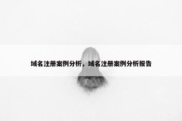 域名注册案例分析，域名注册案例分析报告