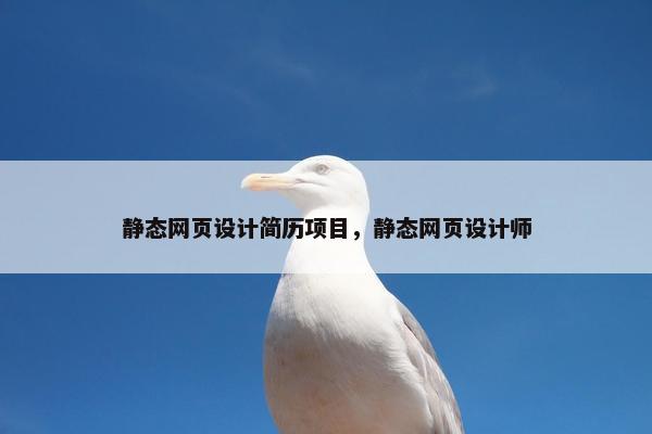静态网页设计简历项目，静态网页设计师