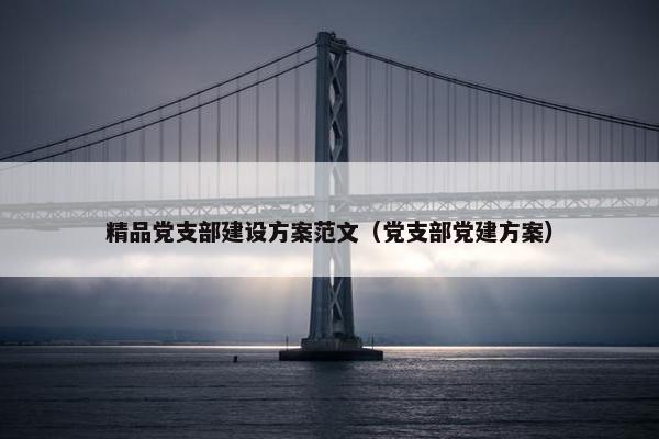 精品党支部建设方案范文（党支部党建方案）