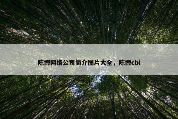 陈博网络公司简介图片大全，陈博cbi