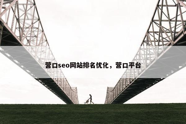 营口seo网站排名优化，营口平台