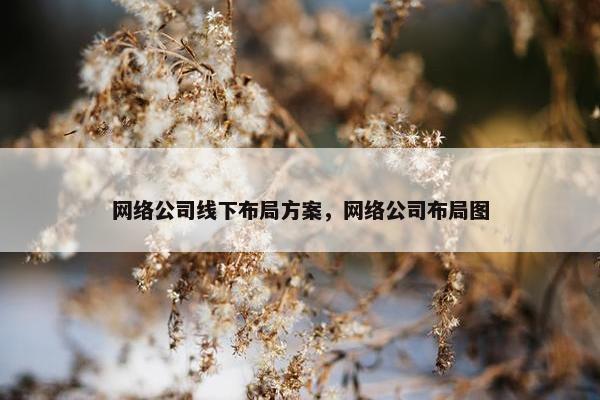 网络公司线下布局方案，网络公司布局图