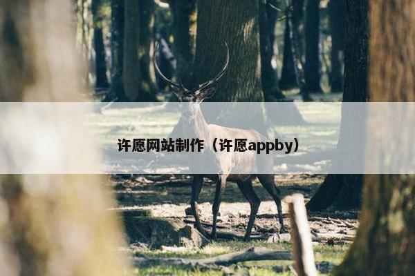 许愿网站制作（许愿appby）
