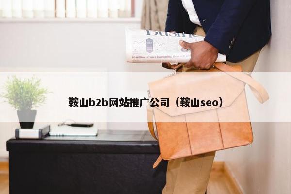 鞍山b2b网站推广公司（鞍山seo）