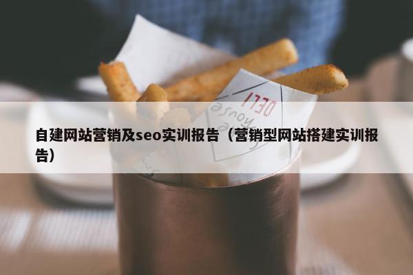 自建网站营销及seo实训报告（营销型网站搭建实训报告）