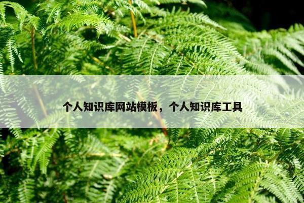 个人知识库网站模板，个人知识库工具