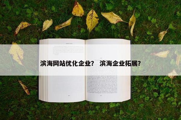 滨海网站优化企业？ 滨海企业拓展？