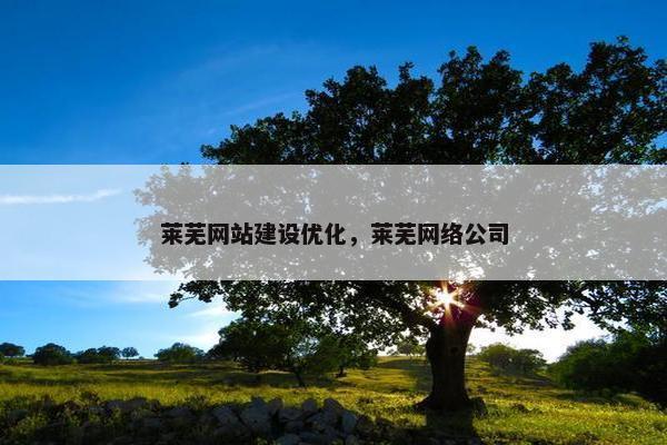 莱芜网站建设优化，莱芜网络公司