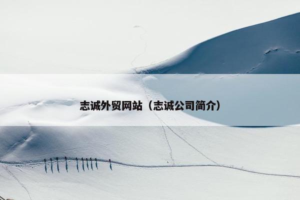 志诚外贸网站（志诚公司简介）