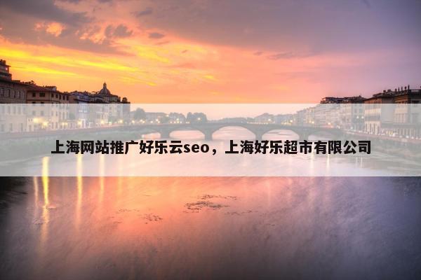 上海网站推广好乐云seo，上海好乐超市有限公司